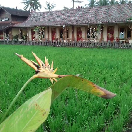 Rice Padi Artha Hotell Ubud Eksteriør bilde